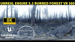 Unreal Engine 5.2 Burned Forest VR 360