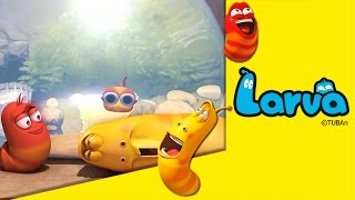 Larva Aquarium Episode 12 Season 1