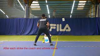 Reaction Series- Partner Turn & Hit Drill 2 screenshot 5