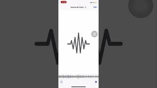 Taksim Trio Gel Gör Beni Percussion Cover Hamit Hamza Taşaroğlu 