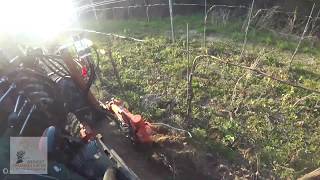 Unterstockpflege Mit Flachschar