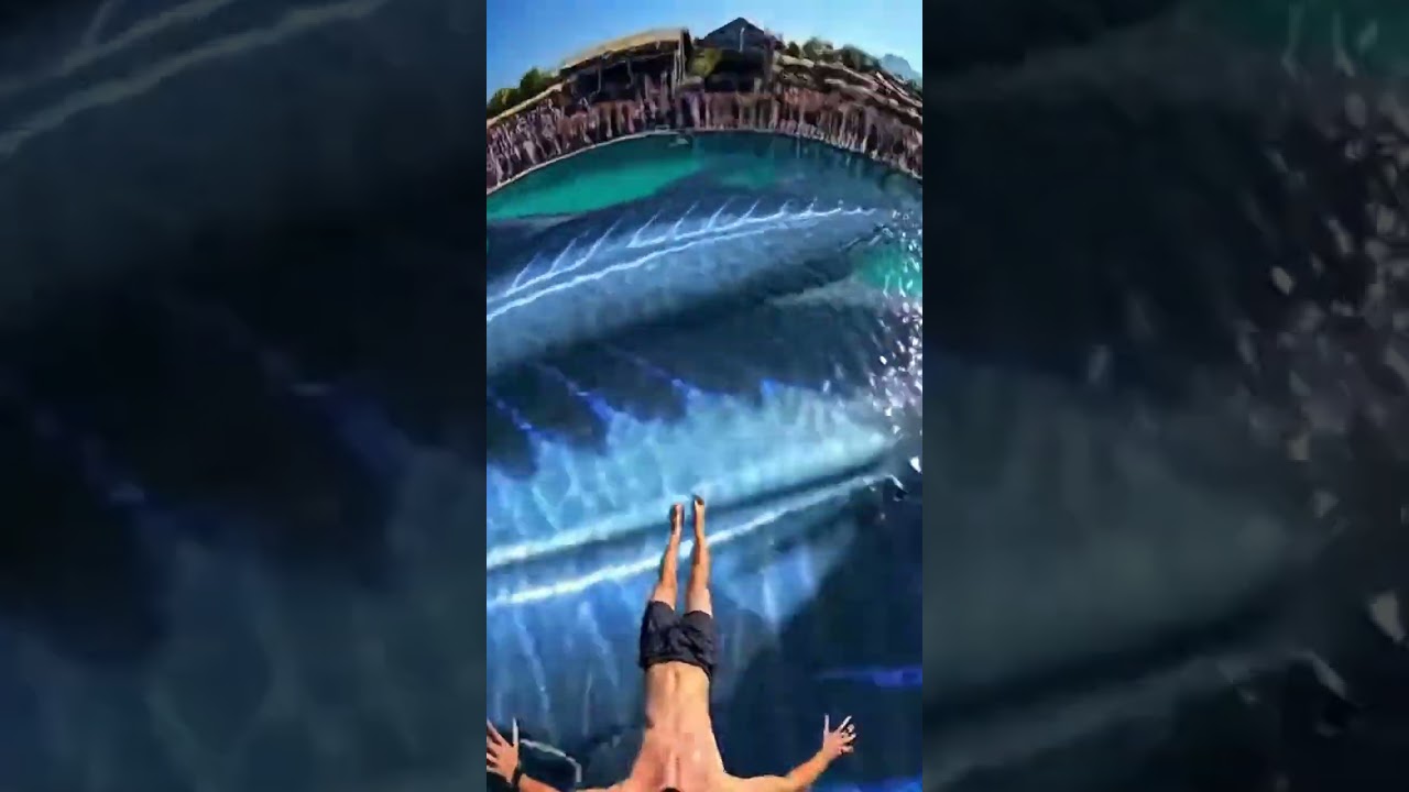 Waterslide into pool full of giant fish 