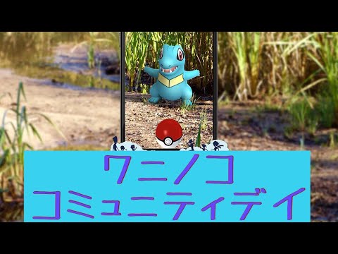 【ワニノコ】2019年初！コミュデイ【ポケモンGO】