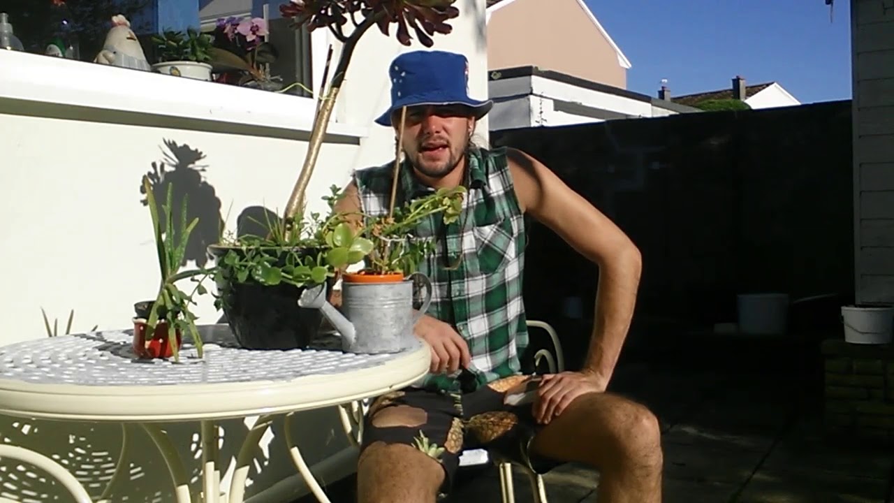 camera iphone 8 plus apk How to grow plants with eggs. Grow show