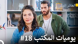 ألعاب صغيرة لتقترب من جان - سلسل الطائر المبكر