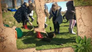 Teamwork in Beech Class