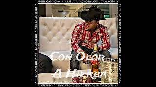 Video thumbnail of "Ariel Camacho IA - Con Olor A Hierba"