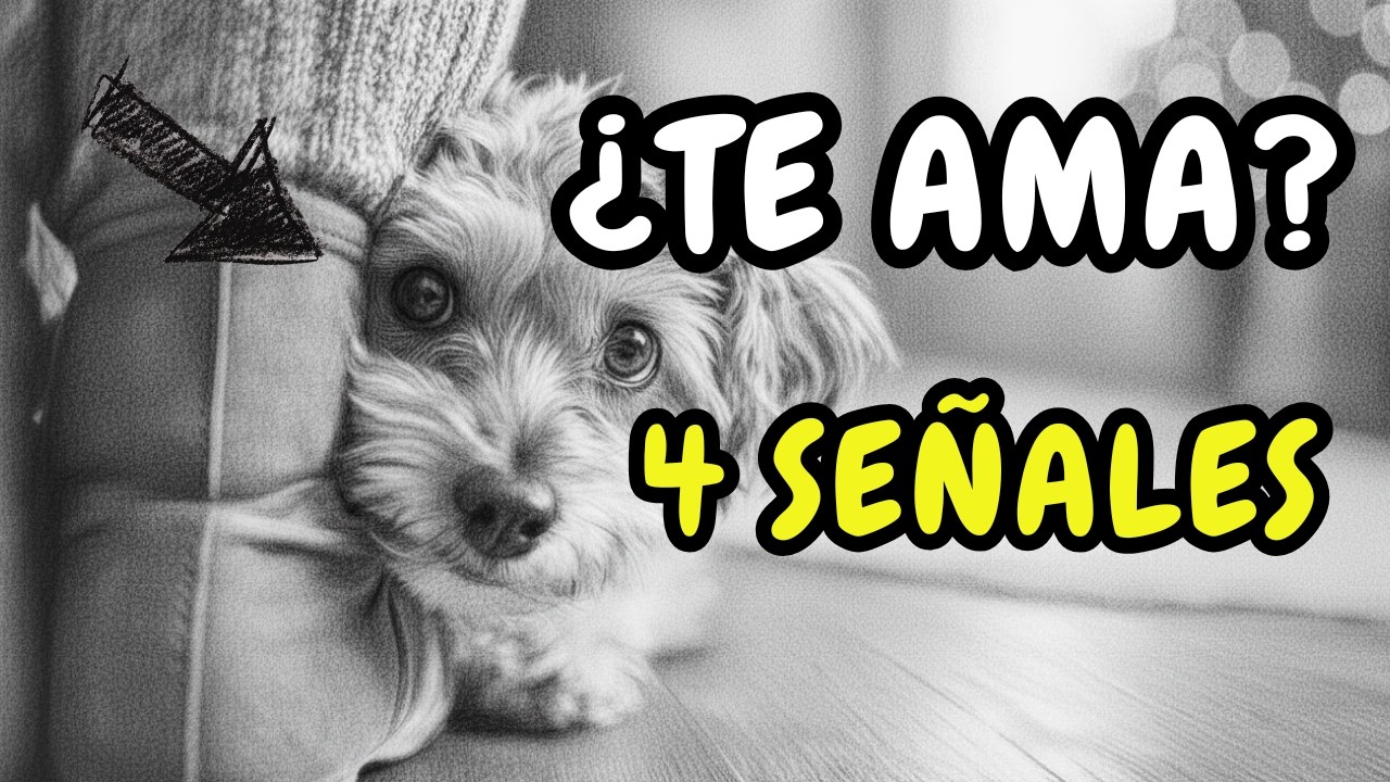 4 Señales de que tu PERRO te ama más que a nada