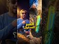 أفضل طريقة لغرس الأشجار وسقيها من الجذور فكرة عبقرية ستوفر عليك الكثير يوتيوب ترند فيديو شورتس