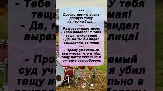 😂 Зять — мечта любой тёщи!
