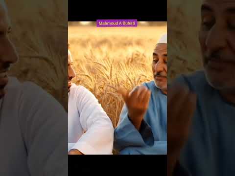 إيهما أطول الليل أم النهار الإجابة المفاجئة من العواجيز الليل والنهار حكايات العواجيز