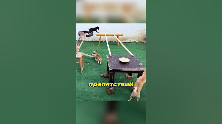 IQ тест закончился НЕОЖИДАННОСТЬЮ 🧠🧩