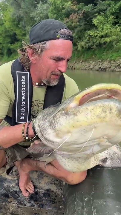 Bester Angelmoment 😇! Freestyl Angeln auf Wels am Fluss. Wallerangeln