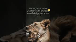 Sizin Çocuğunuz Ne Desin İstersiniz? Gibi