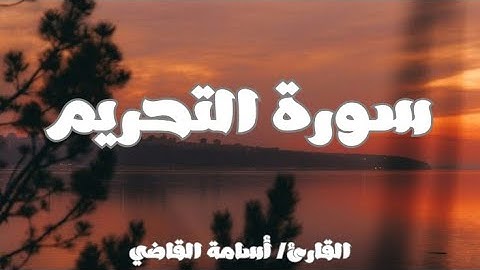 سورة التحريم كاملة بصوت القارئ أسامة القاضي | تلاوة خاشعة🤎