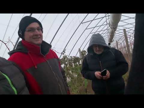 В гостях у малинового короля пана Фигуры 11.01.2022 г.