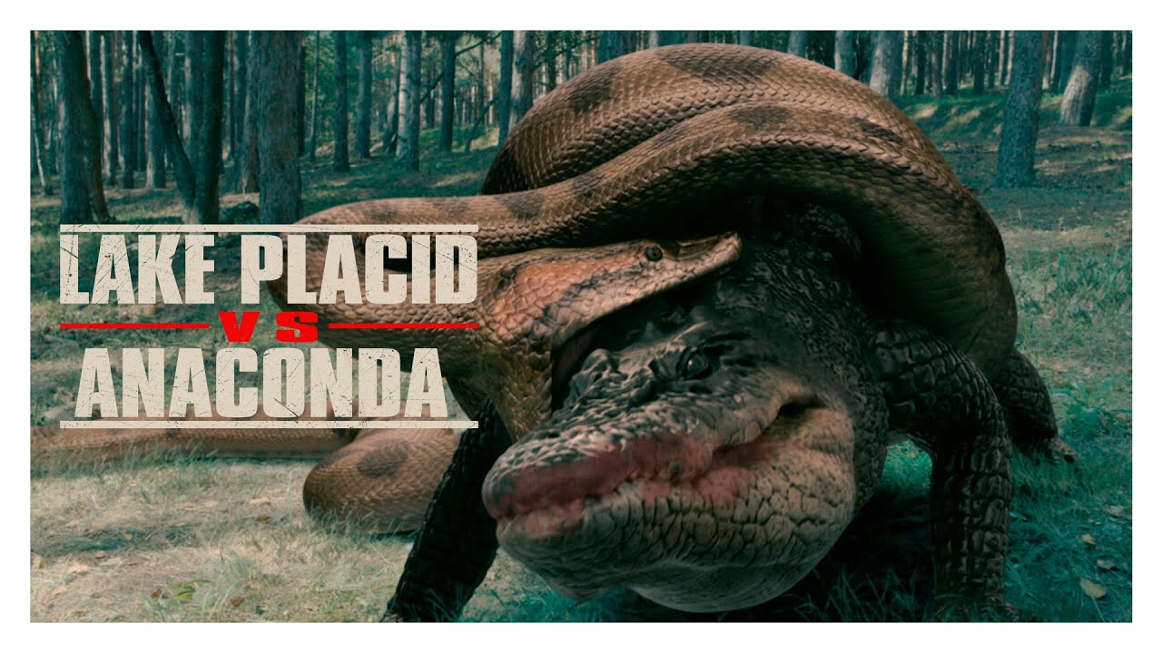 Un Crossover demasiado RIDICULO: Cocodrilo vs Anaconda | Resumen | Critica  - YouTube