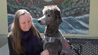 Lions Foundation dog guides unleash independence and make a ‘pawsitive’ difference