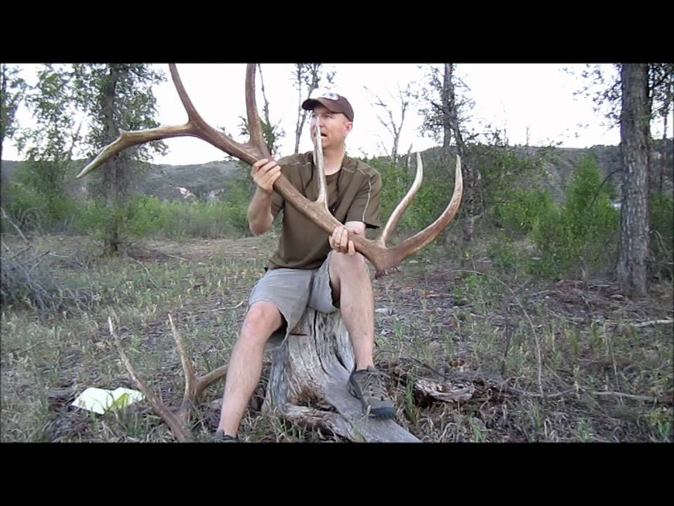How to Field Judge Bull Elk Antlers 2 by JayScottOutdoors