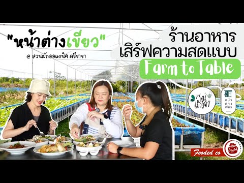 "หน้าต่างเขียว" ร้านอาหารเสิร์ฟความสดแบบ Farm to Table @สวนเยาวพา สวนผักออแกนิค ศรีราชา