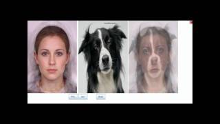 Face Morphing