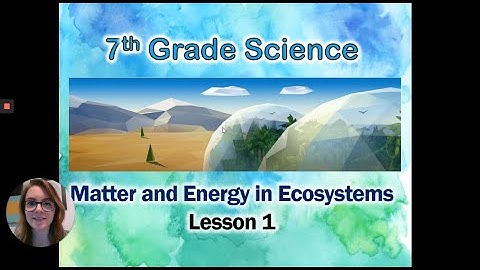 Matter and Energy in Ecosystems: Lesson 1