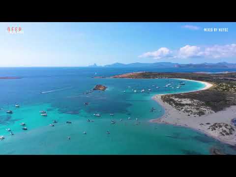 Summer Vibes Dua Lipa Avicii Coldplay Martin Garrix Kygo The Chainsmokers Style 158