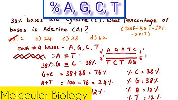 How to calculate %composition of bases in DNA | What is % of Adenine if % of Cytosine is 38%