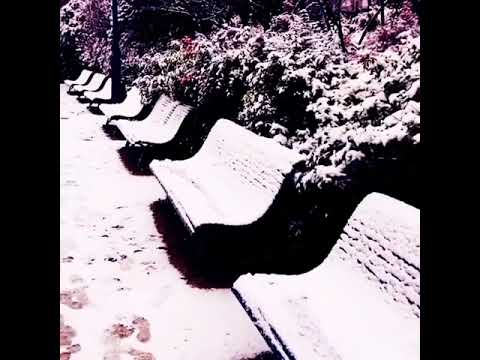 لو عدت لي رد الزمان إلي سالف بهجتي