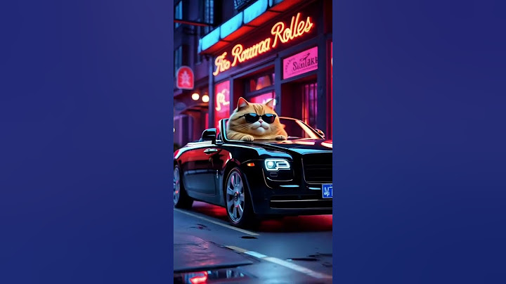 🐈Cat Success video😻Ruchika aayi Defender ki ride lene trading profit roll s royal #ai #cat #paisa 💵💸