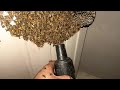1,000 bees vs vacuum...