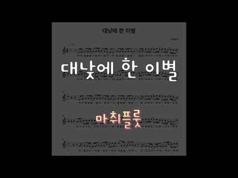 대낮에 한 이별 (Flute) - jyp