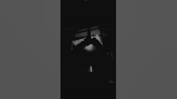 13 August 2025 