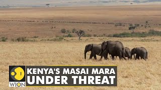 Wildlife in Kenya, Tanzania under threat due to climate change | Latest English News | World News screenshot 4