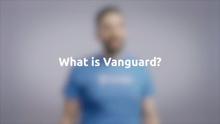 What is Vanguard static analysis tool? | Kostas Ferles