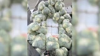 Thai police seize 1.6 tonnes of drugs hidden under cabbages | AFP