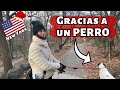 Este PERRO nos SALVÓ del FRÍO en New York ❄️🇺🇸 - (Entérate cómo🤔)