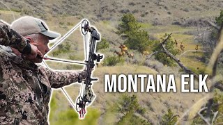 Words of Wisdom (Montana Archery Elk Hunt) - Fresh Tracks Season 10!