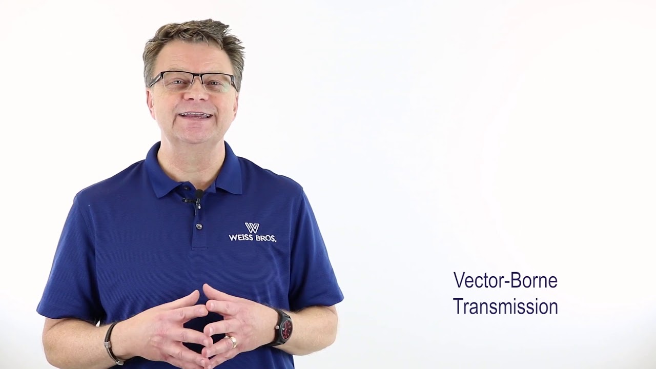 Bloodborne Pathogens