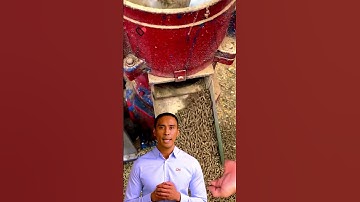 Chicken Feed Pellet Machine for High-Quality Feed #fcnfm #feedpelletmachine #youtube