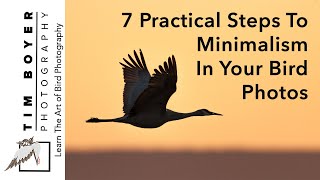 7 Practical Steps To Minimalism In Your Bird Photos