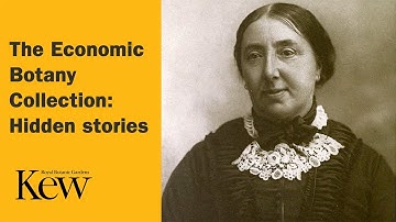 The Economic Botany Collection: Hidden stories | Kew