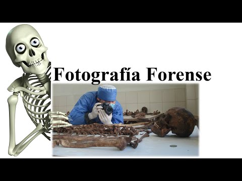 La Historia De La Fotografía Forense