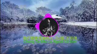 我们都是孤单的人 _DJ版_ (Chúng Ta Đều Là Người Cô Đơn)#王羽泽#抖音热门最好听的歌曲2022🔥