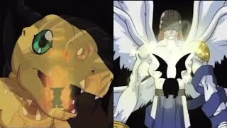 Veemon and Patamon Armor Digivolution