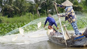 Chú thím 5 mưu sinh nghề chài mùa nước nổi - Sông Nước Cửu Long - Nguyễn Hùng