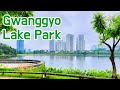 Gwanggyo Lake Park in Suwon☘️Perfect Urban Escape! Picnic & Strolls | Gyeonggi-do | viewKorea365 4K