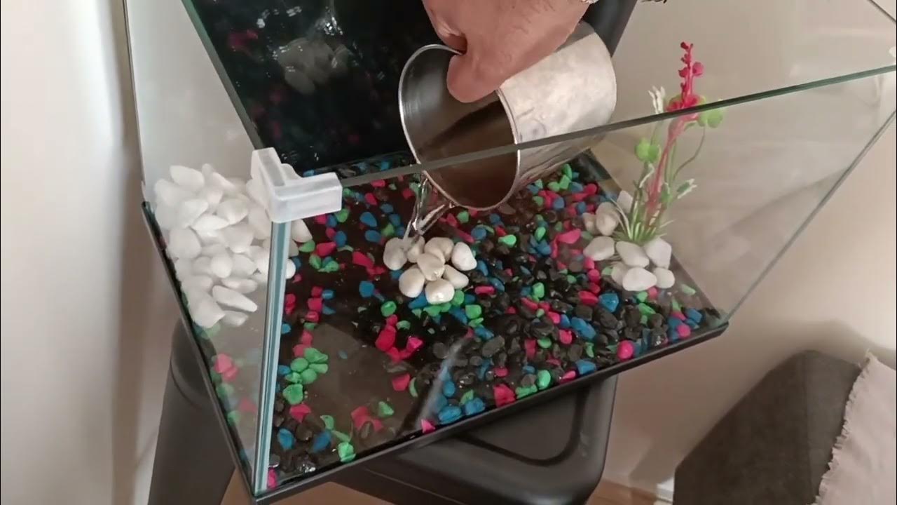 How to set up Kmart Fish tank with filter YouTube