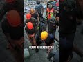 Sedih! Anjing Cari Pemiliknya Setelah Gempa Filipina #shorts
