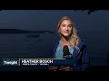 Over 30 cats removed from abandoned boat in Tacoma
